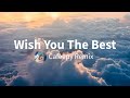 Culture Code & Caslow ft. Nina Sung - Wish You The Best (Cafeepy Remix)