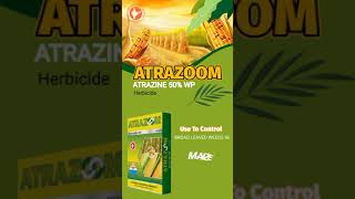 ATRAZOOM - Atrazine 50% WP (Herbicide)