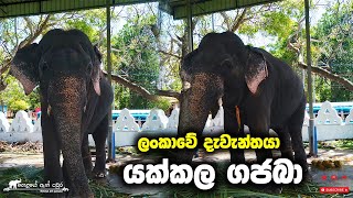 ලංකාවේ දැවැන්තයා යක්කල ගජබා | Yakkala Gajaba