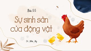 Bài 55. Sự sinh sản của động vật - Khoa học 5 - OLM.VN