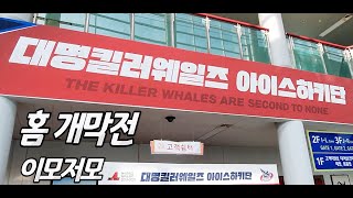 [대킬라TV - 시즌1]  제9편 대명킬러웨일즈 홈 개막전 이모저모