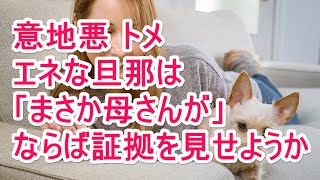 【スカッとする話】意地悪トメ　エネな旦那は「まさか母さんが」 ならば証拠を見せようか