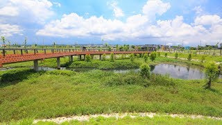 台中南屯高鐵新市鎮生態公園-含有古蹟和生態的公園