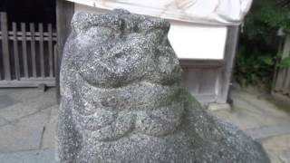 30秒の心象風景8178・抽象的な面貌～和貴宮神社狛犬～