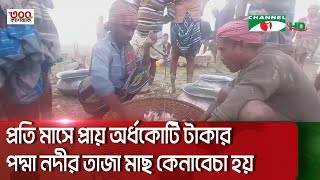 দৌলতপুরের বৈরাগীরচর মাছের হাটে  মিঠা পানির মাছ কিনতে ভীড় করেন ব্যাপারী ও স্থানীয়রা