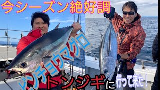 【三重県 紀伊長島】トンジギが好調と期待して行ったら…EP127　＃トンジギ　＃ビンチョウマグロ