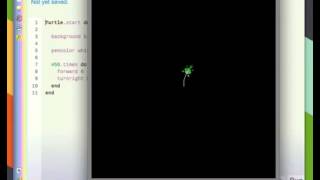 Hackety Hack/Ruby Turtle 6
