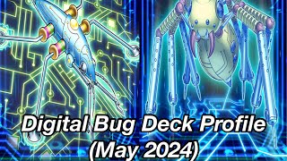 Digital Bug Deck Profile (May 2024)