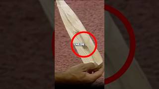 Baseball Cheating Exposed