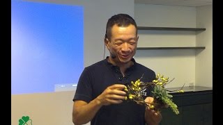 2014 07 26 多肉植物與人造綠植的親密碰撞