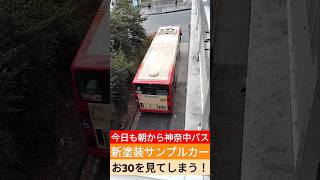 今日も朝から神奈中バス新塗装サンプルカーお30を見てしまう！