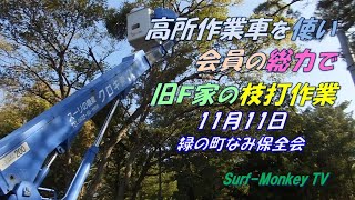 【緑の町なみ保全会】高所作業車を使い会員の総力で旧F家の枝打作業 221111 ~サーフモンキーTV