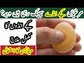 Murghi Anda Nahi dy rahi || Shell Less Egg Treatment in Chickens || Desi Murghi ilaj