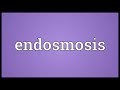 endosmosis meaning