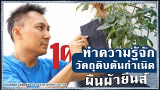 Cotton วัตถุดิบต้นกำเนิดผืนผ้ายีนส์ | คลิปสั้นเรื่องยีนส์กับโอ PIGER WORKS EP.10