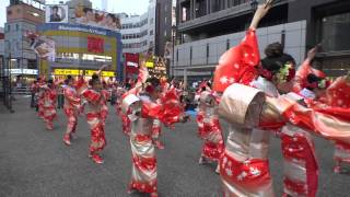 【4K】天空しなと屋 茜丸（2015東京よさこい）