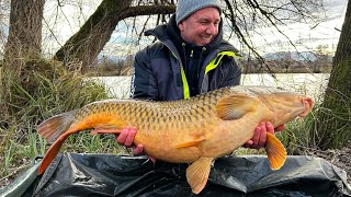 Im Winter mit dem Methodfeeder \u0026 Toastbrot dicke Fische fangen