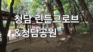 숲세권 아파트 청담 린든그로브 \u0026 힐링 산책길 청담공원