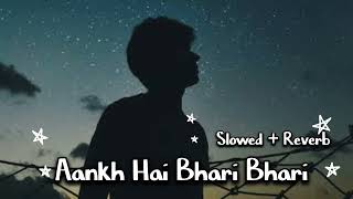 Aankh_Hai_Bhari_Bhari_Slowed_and_Reverb || New lofi song Aankh hai bhari bhari | @RaajShorts-ds5wm