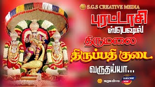 திருமலை திருப்பதி குடை வருதாய்யா| புரட்டாசி 2வது வாரம்| Purataasiperumalsongsintamil | SgsDivo |