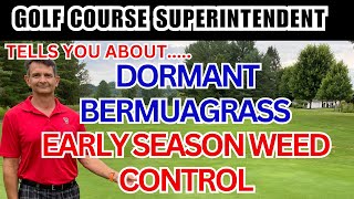 How to have NO WEEDS in bermuda.  Dormant Bermudagrass management.