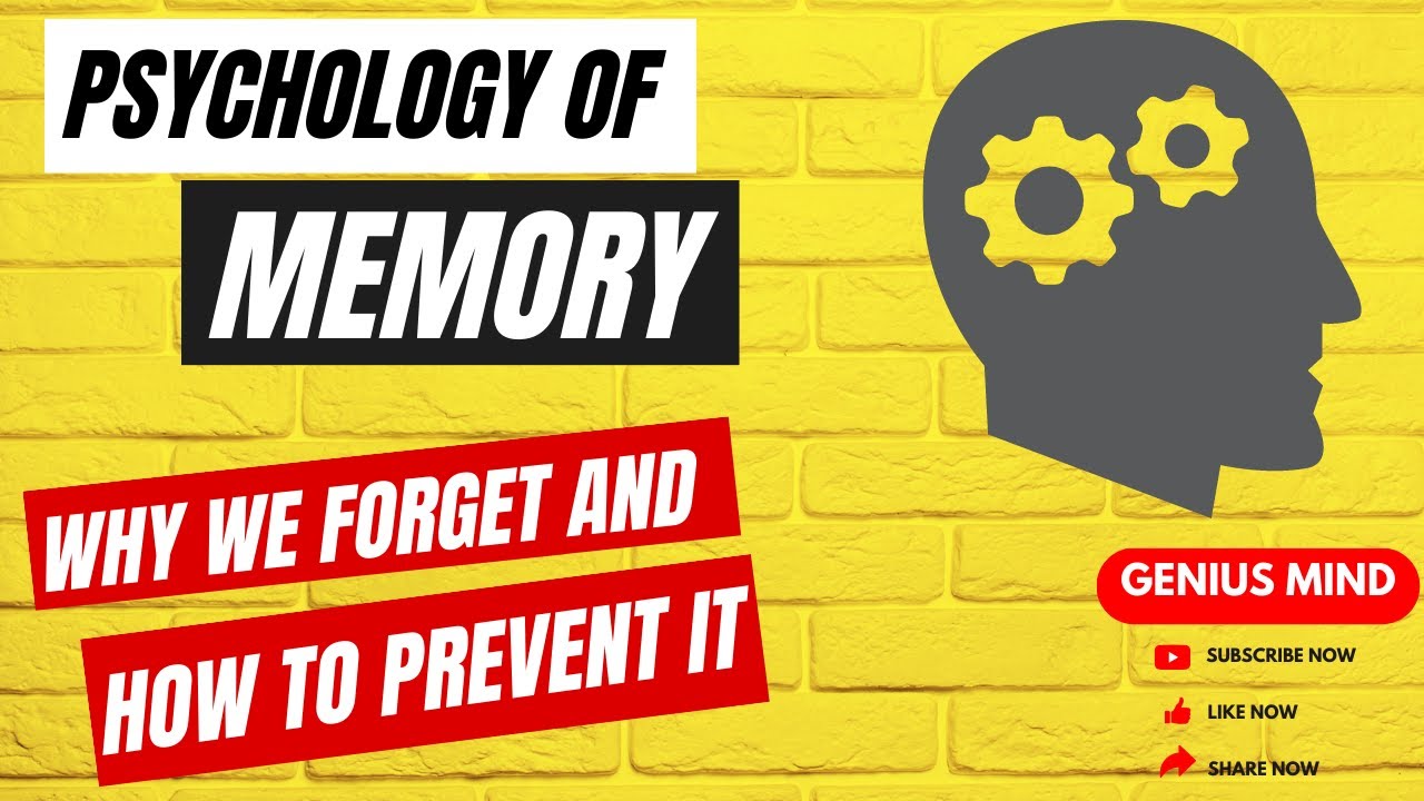 Psychology Of Memory- Why We Forget And How To Prevent It | Secret To ...