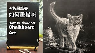 【示範】黑板粉筆畫動物寫實素描｜如何畫貓