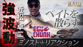 強波動　EGUCHUNK!!　ベイトを散らしてスイッチを入れる！？【琵琶湖】