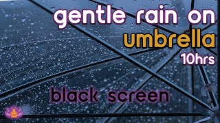 [Black Screen] Gentle Rain on Umbrella | Rain Ambience No Thunder | Rain Sounds for Sleeping