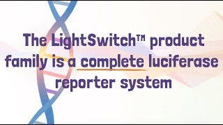 Introduction to the LightSwitch Luciferase Reporter Assay System