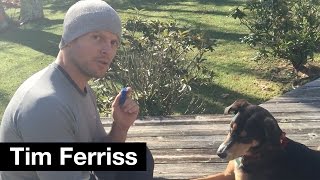The Most Important Skill to Teach Your Dog | Tim Ferriss