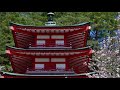 【新倉山浅間公園】絶景の富士山　桜　五重の塔　新倉浅間神社　山梨県