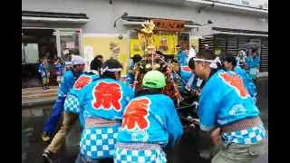 Mikoshi carry and chant.