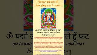 ॐ पद्म‍ो उष्णीषा विमले हुँ फट  -  Lotus Pinnacle of Amoghapasha Mantra