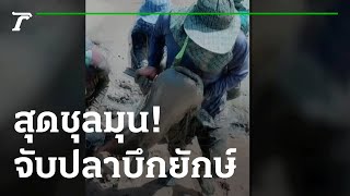 สุดชุลมุน! จับปลาบึกยักษ์หนัก 50 กก. | 16-11-65 | ตะลอนข่าว