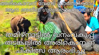 അരികൊമ്പന് വേണ്ടി പ്രാർത്ഥിക്കാം🙏 ആന അതീവ ഗുരുതരാവസ്ഥയിൽ വനംവകുപ്പ് ചികിത്സ ആരംഭിച്ചതായി റിപ്പോർട്ട്