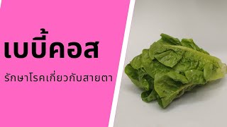 ประโยชน์ของผักสลัดเบบี้คอส | Baby Cos Lettuce | กินผักเป็นยา