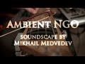 Ambient NGO - Soundscape (Strymon TimeLine, BigSky, Boomerang looper)