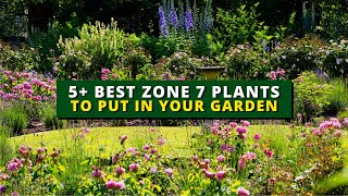 5+ Perfect Plants for Zone 7 | Best Zone 7 Plants to Put In Your Garden 🌻🌿🍃