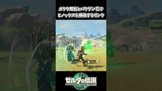 オクタ風船と爆弾で遠距離のヒノックスを爆破するリンク【ゼルダの伝説 ティアーズ オブ ザ キングダム】