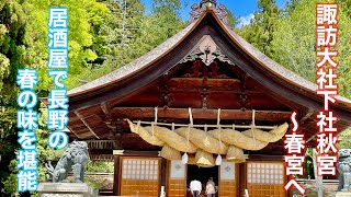 【旅行】諏訪・松本vol2 諏訪大社の春宮・秋宮を訪れ松本駅前の居酒屋・風林火山へ