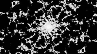 Video Feedback Simulation