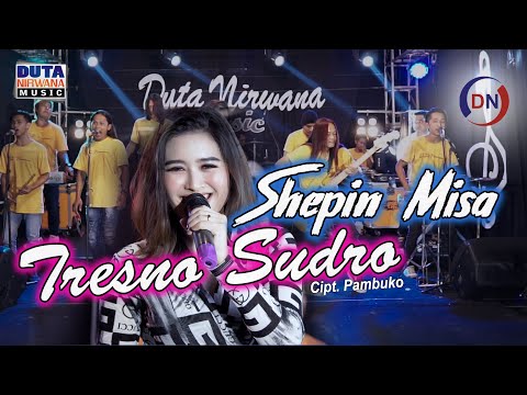 Download Lagu Shepin Misa Tresno Sudro Mp3
