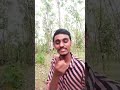 എന്നെ ചതിച്ചു😢 funny shortvideo shortsvideo comedy popular