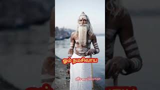 பித்தனா சிவபக்தனா இல்லை சித்தனா இல்லை பித்தனா பாடல் / திருச்சிற்றம்பலம் / ஓம் நமசிவாய / Anbae Sivam