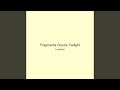 Fragments Clouds Twilight