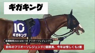 【重賞】前年のフリオーソレジェンドC優勝馬ギガキング👑今年は惜しくも2着、連覇ならず【フリオーソレジェンドカップ2024】