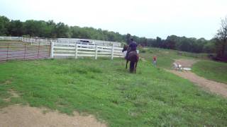 M4H08747.MP4