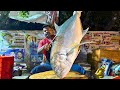 KASIMEDU 🔥 SPEED SELVAM | BIG TREVALLY FISH CUTTING VIDEO | IN KASIMEDU | FF CUTTING 🔪