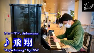 【ストリートピアノ】高梁市図書館で奏でる（シューマン：飛翔／Schumann: \